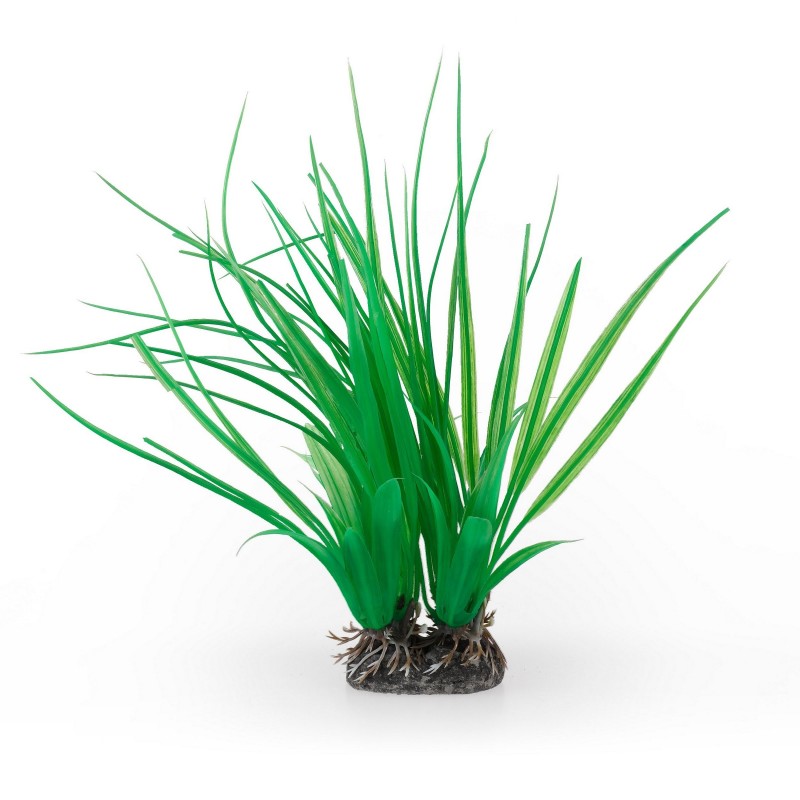 Aqua Natura,  roślina, do dekoracji akwarium, zielona, plastikowa, 20 cm , trawa morska