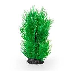 Aqua Natura,  roślina, do dekoracji akwarium, zielona, plastikowa, 20 cm , skrzyp morski