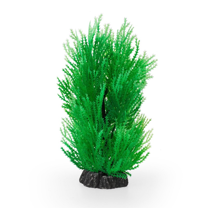 Aqua Natura,  roślina, do dekoracji akwarium, zielona, plastikowa, 20 cm , skrzyp morski