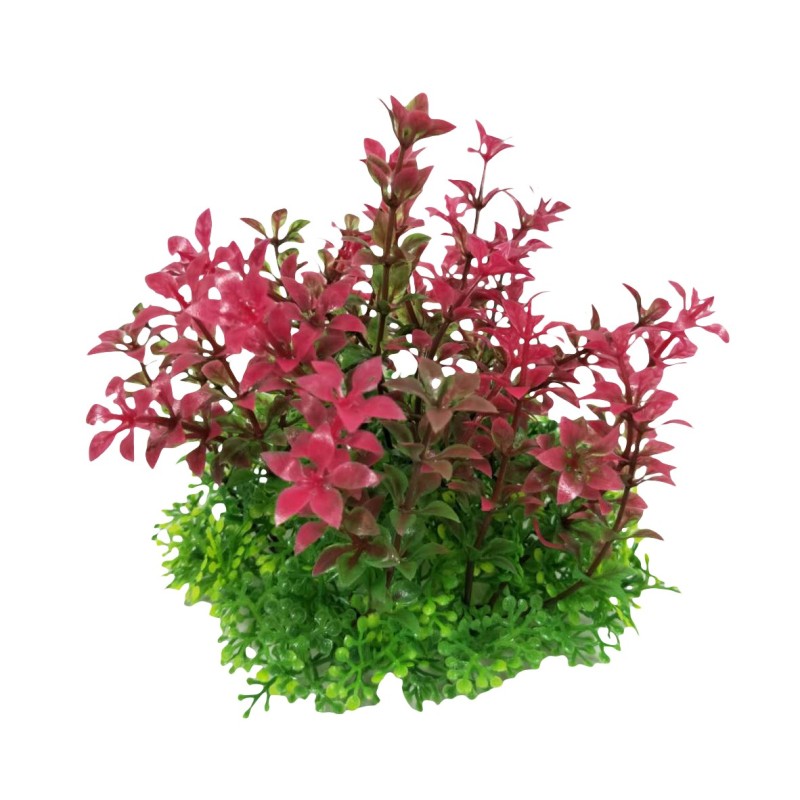 Aqua Natura,  roślina, do dekoracji akwarium, fioletowa, plastikowa, 12 cm , szerokie gęste pędy z fioletowymi końcówkami