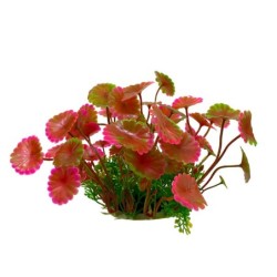 Aqua Natura,  roślina, do dekoracji akwarium, czerwona, plastikowa, 12 cm , liście parasolowate