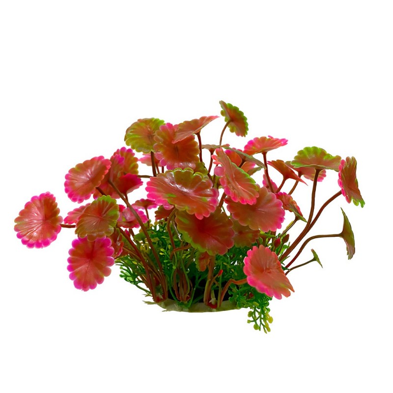 Aqua Natura,  roślina, do dekoracji akwarium, czerwona, plastikowa, 12 cm , liście parasolowate