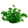 Aqua Natura,  roślina, do dekoracji akwarium, zielona, plastikowa, 12 cm , liście parasolowate