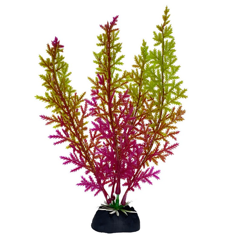 Aqua Natura,  roślina, do dekoracji akwarium, fioletowo-seledynowa, plastikowa, 18 cm ,  wodorost koralowy