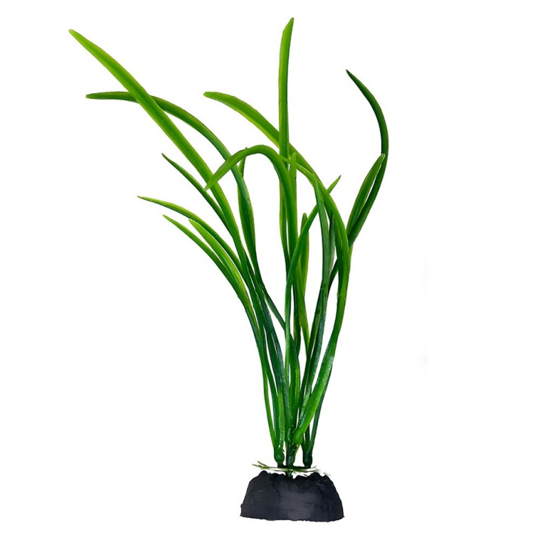Aqua Natura,  roślina, do dekoracji akwarium, zielona, plastikowa, 18 cm , trawa paskowa
