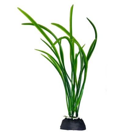 Aqua Natura,  roślina, do dekoracji akwarium, zielona, plastikowa, 18 cm , trawa paskowa
