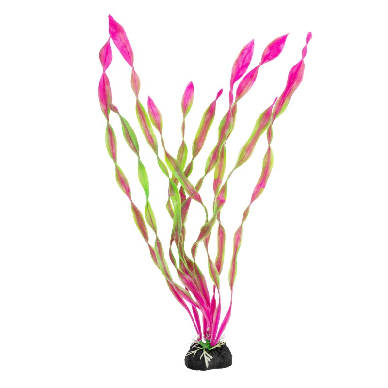 Aqua Natura,  roślina, do dekoracji akwarium, fioletowa, plastikowa, 28 cm , spirulina, wysoka