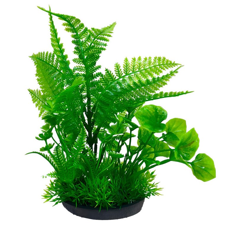 Aqua Natura,  roślina, do dekoracji akwarium, zielona, plastikowa, 18 cm , peperomia ostra i paproć