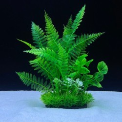 Aqua Natura,  roślina, do dekoracji akwarium, zielona, plastikowa, 18 cm , peperomia ostra i paproć