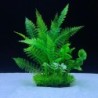 Aqua Natura,  roślina, do dekoracji akwarium, zielona, plastikowa, 18 cm , peperomia ostra i paproć