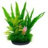 Aqua Natura,  roślina, do dekoracji akwarium, zielona, plastikowa, 18 cm , paproć i wodororost leśny z różowym akcentem