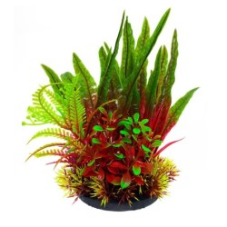 Aqua Natura,  roślina, do dekoracji akwarium, bordowo-zielona, plastikowa, 18 cm , mix roślin