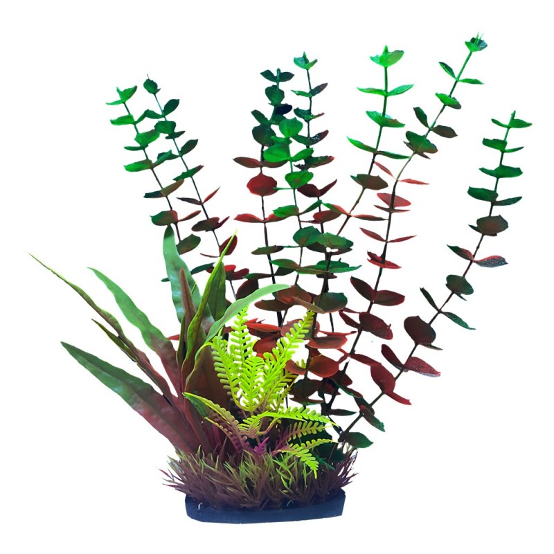 Aqua Natura,  roślina, do dekoracji akwarium, fioletowo-zielone, plastikowa, 28 cm , wodorost leśny i rośliny palczaste
