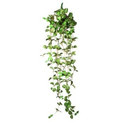 Terra Natura Dekoracja terrarystyczna  wisząca roślina średnia 22*8*62cm