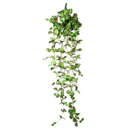 Terra Natura Dekoracja terrarystyczna  wisząca roślina średnia 22*8*62cm