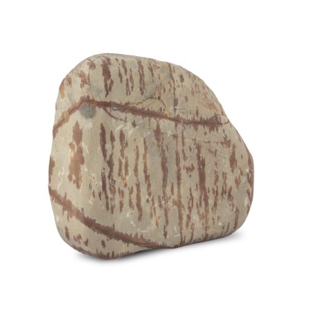 Aqua Natura, skała ozdobna łabędzi kamień, Swan Rock, do akwarium/ terrarium