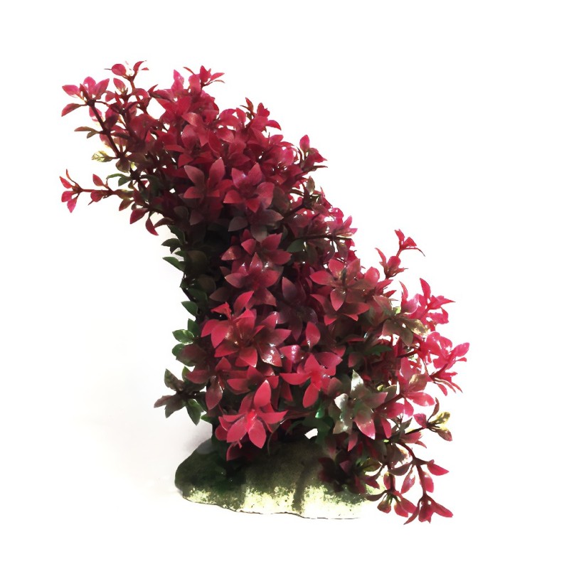 Aqua Natura,  roślina, do dekoracji akwarium, zielono-żółta, plastikowa, 12-18 cm , gęsta w czerwone drobne liście