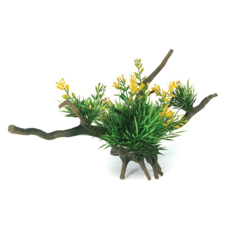 Aqua Natura,  roślina, do dekoracji akwarium, kompozycja na korzeniu, plastikowa, 12-31 cm , różne rodzaje roślin