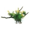 Aqua Natura,  roślina, do dekoracji akwarium, kompozycja na korzeniu, plastikowa, 12-31 cm , różne rodzaje roślin