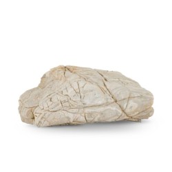 Skała skóra słoniowa / do akwarium / terrarium 10-30 cm