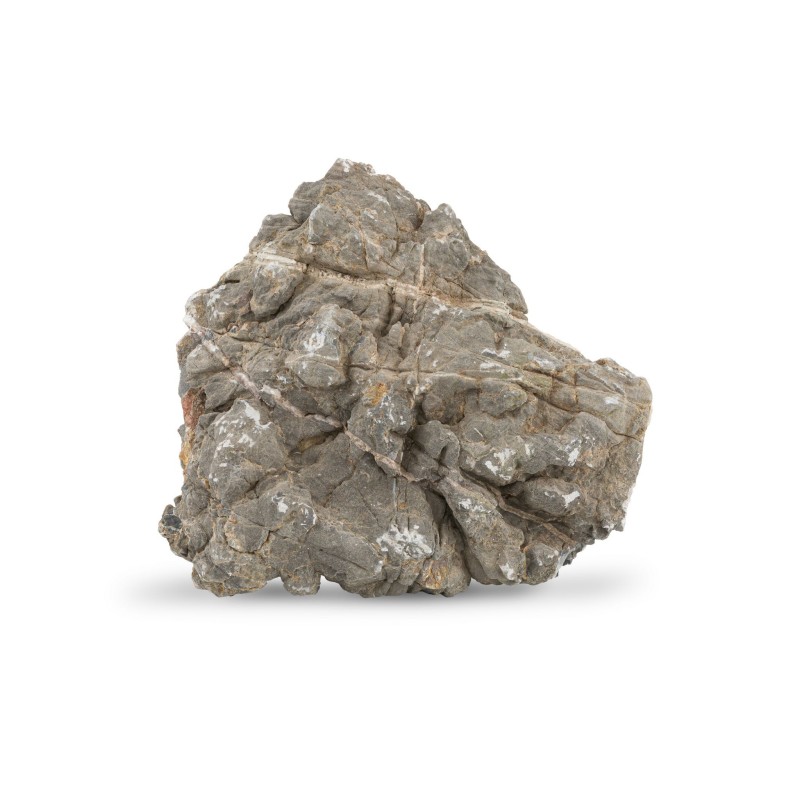 Skała skorupa żółwia, dekoracyjna do akwarium / terrarium 15-35 cm