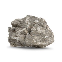 Skała skorupa żółwia, dekoracyjna do akwarium / terrarium 15-35 cm