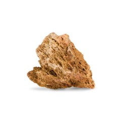 Skała klonowa dekoracyjna do akwarium / terrarium 10-40 cm