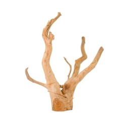 Korzeń Spider do akwarium / terrarium