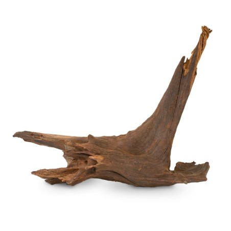 Korzeń Koralowcowy do akwarium / terrarium 25-60 cm