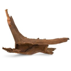 Korzeń Koralowcowy do akwarium / terrarium 25-60 cm
