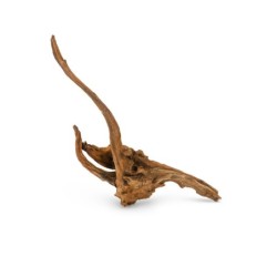 Korzeń Koralowcowy do akwarium / terrarium 25-60 cm