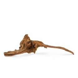 Korzeń Koralowcowy do akwarium / terrarium 25-60 cm