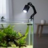 Aqua Natura, lampka led do akwarium/ terrarium, światło białe zimne 6500K