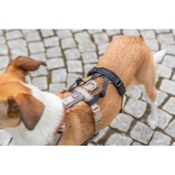 Adapter antyucieczkowy do szelek, dla psa, czarny, S–M: 38–57 cm/15 mm