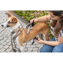 Adapter antyucieczkowy do szelek, dla psa, czarny, L–XL: 59–92 cm/25 mm