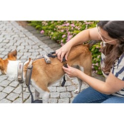 Adapter antyucieczkowy do szelek, dla psa, czarny, L–XL: 59–92 cm/25 mm