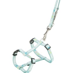 Junior, szelki dla szczeniąt, ze smyczą, taśma parciana, 27–45 cm/10 mm, 2.00 m, kolor miętowy