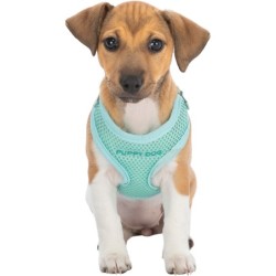 Miękkie szelki dla szczeniąt ze smyczą Junior, 26–34 cm/10 mm, 2.00 m, jasnoszare