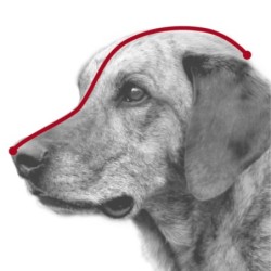 Kaganiec plastikowy, dla psa, czarny, XS, dł. pyska 15 cm, szer. paska 3,5 cm