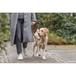 Pure, smycz regulowana, dla psa, skórzana, brązowa, S–M: 2 m/15 mm