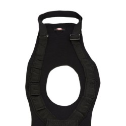 Uprząż rehabilitacyjna, L–XL: 75–85 cm, czarna