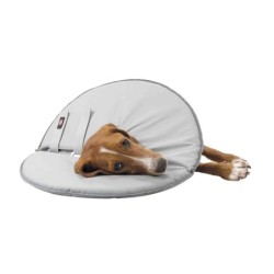 Kołnierz ochronny, XL:60-64cm/29cm, szary