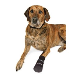 BUT OCHRONNY DLA PSA "6" 2szt.