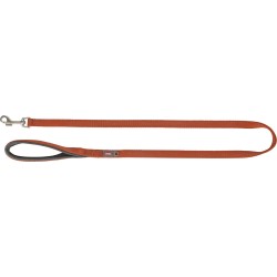 Premium, smycz, dla psa, taśma, rdzawa, L–XL: 1.00 m/25 mm