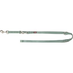 Premium, smycz regulowana, dla psa, taśma, szałwia, M–L: 2.00 m/20 mm