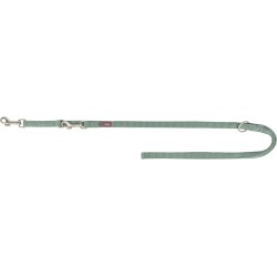 Premium, smycz regulowana, dla psa, dwustronna, taśma, szałwiowa, XS: 2.00 m/10 mm