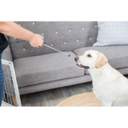 WSKAŹNIK treningowy 'Target Stick' wraz z Clickerem