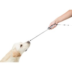 WSKAŹNIK treningowy 'Target Stick' wraz z Clickerem