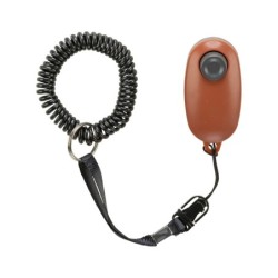 POMOC WYCHOWAWCZA "SOFT CLICKER"