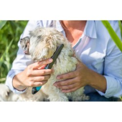 GRZEBIEŃ PRZECIWPCHELNY 21cm